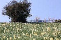 a-IMG_4373