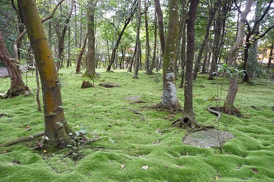 a-P1050035