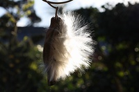 a-IMG_3385