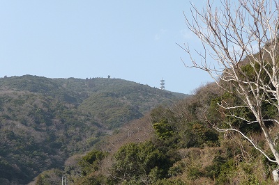 a-P1060767