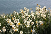 a-IMG_4362