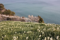 a-IMG_4352