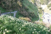 a-P1060775