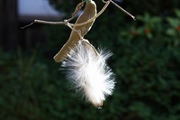 a-IMG_3366