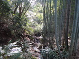 三浦の小川