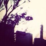 写真 11-12-25 0 17 55