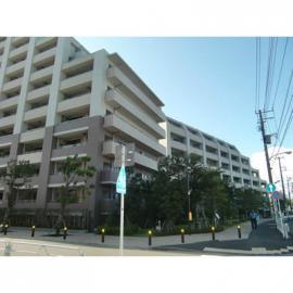 ŽÌŽÞŽ×ŽÝ޽ŽÞ޼ŽÃލ¹ÁÆîÂæ