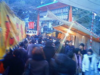 NEC_3250