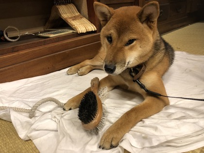 a