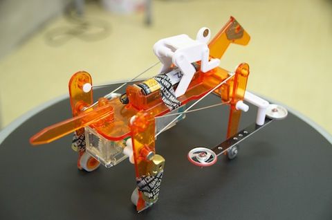 IMGP3824_優勝馬3