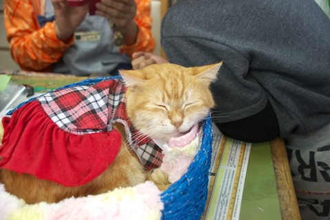 IMGP5372_ちゃいろさん