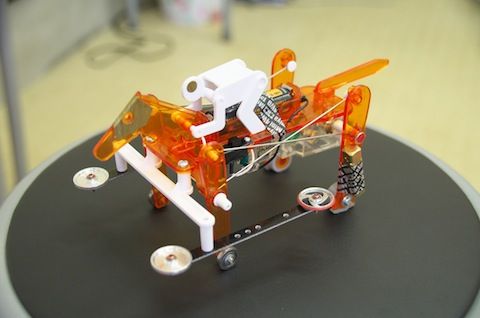 IMGP3822_優勝馬1