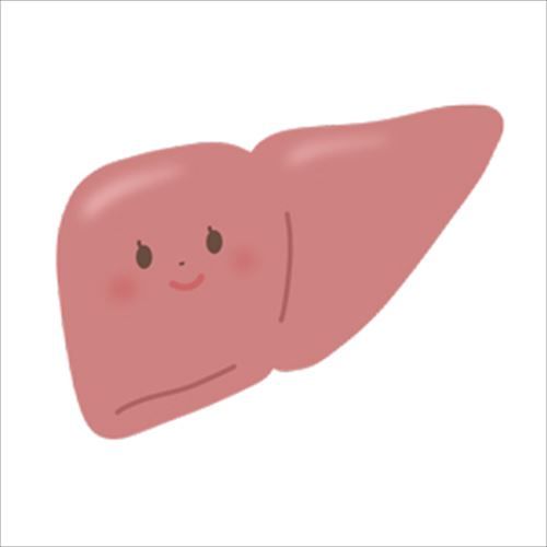 liver-anatomy-deform-thumbnail_R
