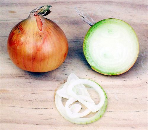 1025px-Onion_R