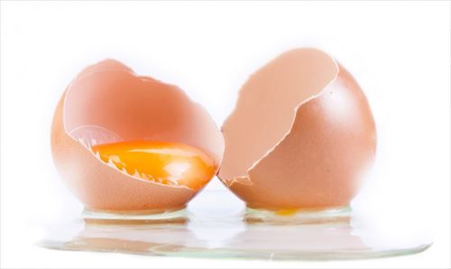 レシピ「卵黄のみ使います」ワイ「卵白どうすんねん 」