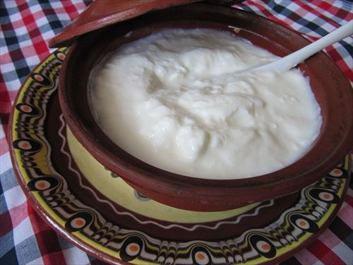 1200px-Bulgarian_yogurt_R