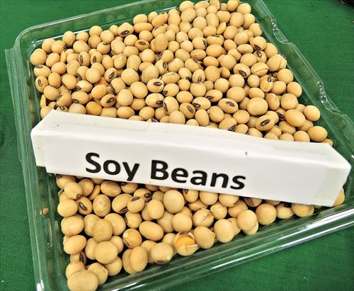 soy-beans-968986_1280_R