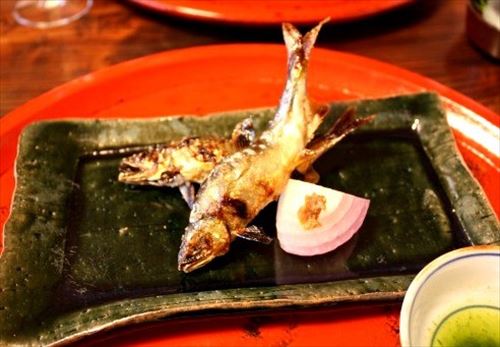 42461879_624.v1540159312_R