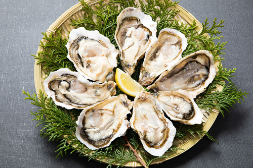 生牡蠣ってリスク負ってまで食うほど美味いもんなんか?