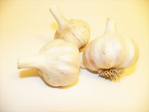 garlic_R