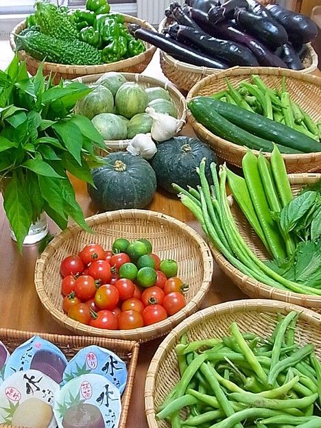 野菜の神様「野菜を何か1つだけ一生無料にしてやるよ」←なに選ぶ？