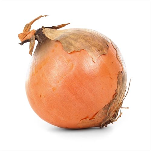onion-isolated_R