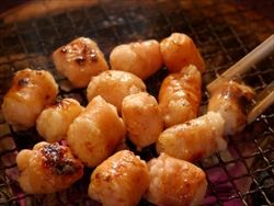 atugishirokorohorumon_kanagawa_p_1_R