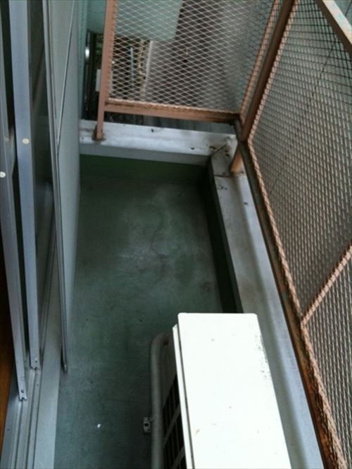 【悲報】ベランダに蛆虫が湧いてしまう