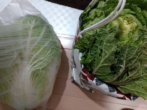 農家のおっちゃんから白菜沢山もらったんだがどうしたらいい 	