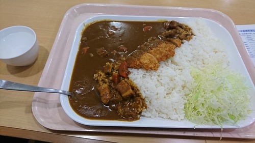 メガカツカレーwwwwwwwwwwwwwwwwwww