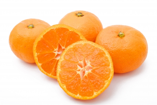 みかん　2割以上も高く贅沢品にクラスチェンジ 	