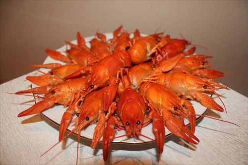 crayfish-3631928_1280_R
