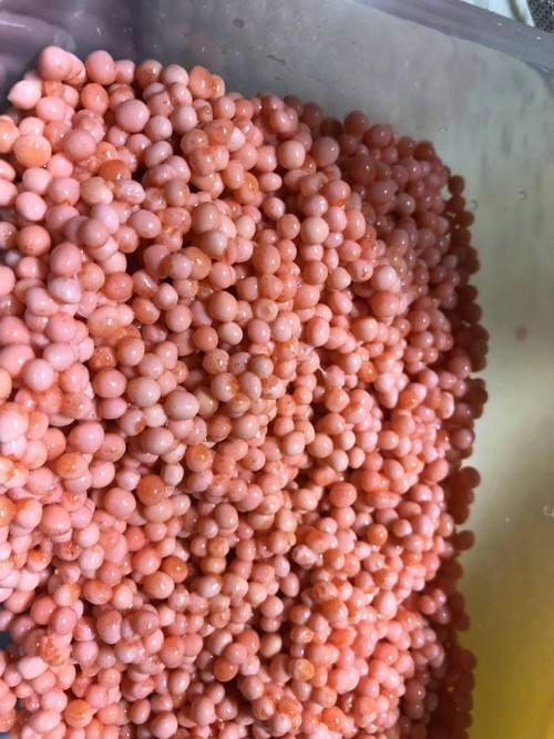 【閲覧注意】自作のいくらの醤油漬け作っとるんだが、これって失敗？ 	