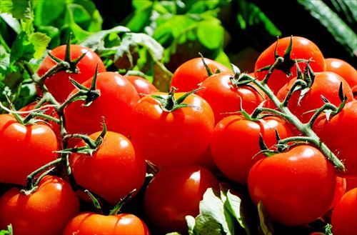 tomatoes_red_food_frisch_market-1221993_R