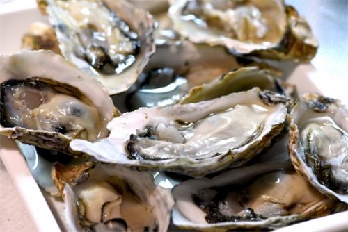 貧乏人ワイ、初めて生牡蠣を食べる 	