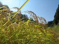 DSCN6098_R