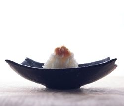 daikon-oroshi_R