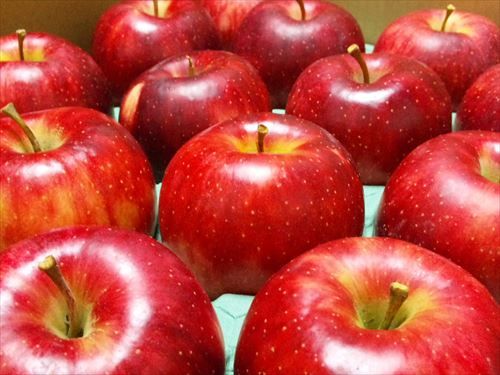 5125565378_ac0f43bb19_b_R