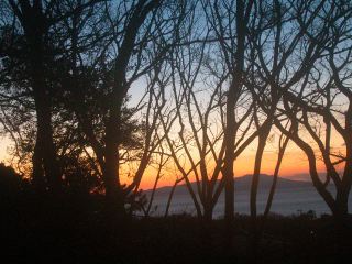 175f4f90.jpg