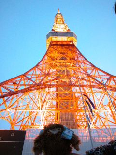 東京タワー3