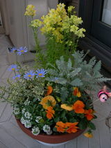 85d0272f.JPG