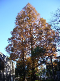 P1070042