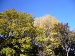 P1070043