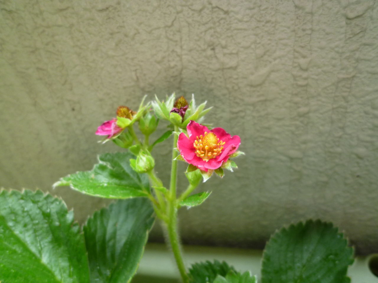 P1020353
