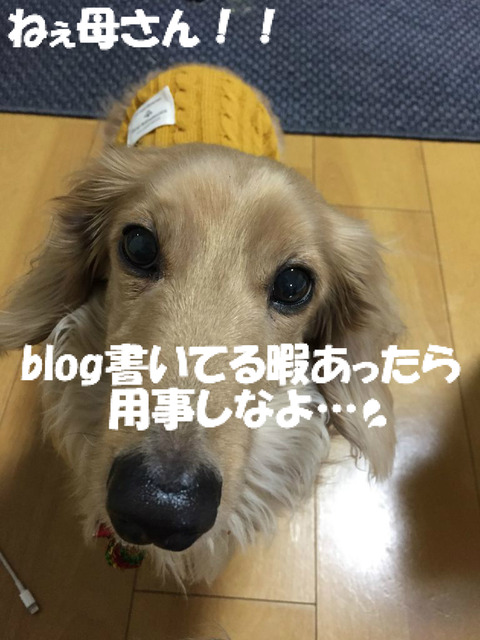 BlogPaint