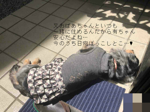 BlogPaint
