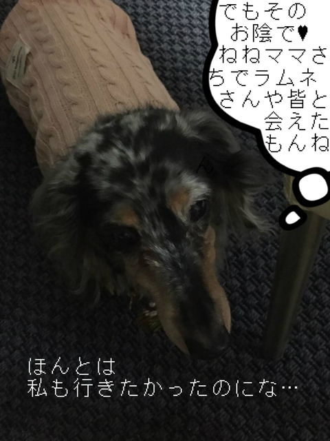 BlogPaint