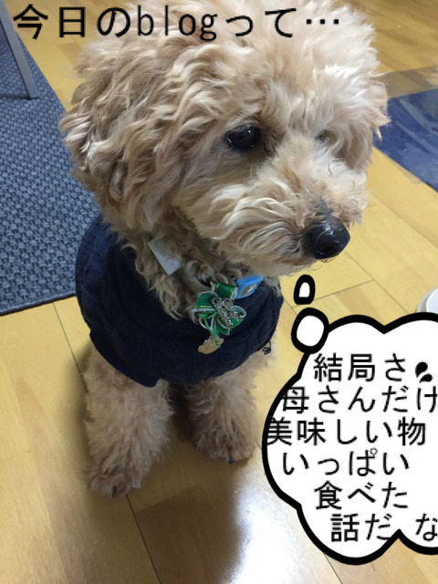 BlogPaint