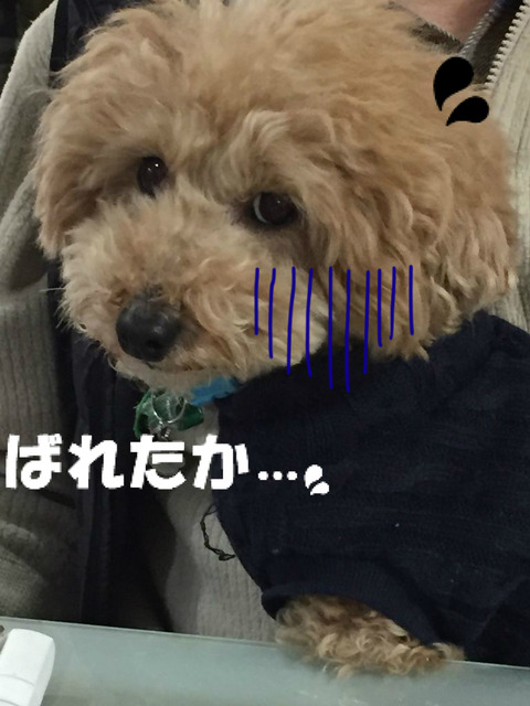 BlogPaint