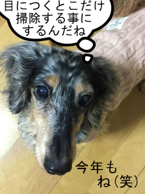 BlogPaint